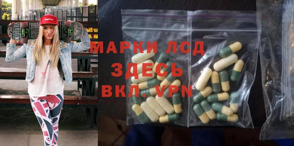 твердый Арсеньев