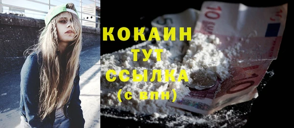 стаф Осташков
