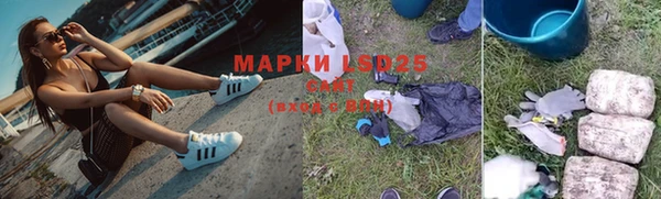 ALPHA-PVP Осинники