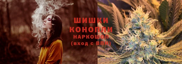 стаф Осташков